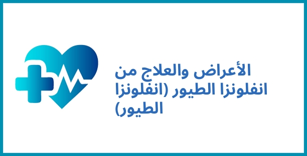 الأعراض والعلاج من انفلونزا الطيور (انفلونزا الطيور)