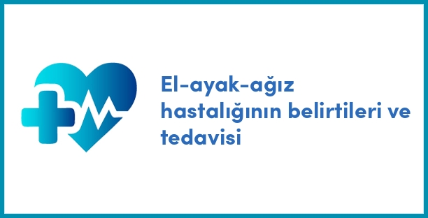 El-ayak-ağız hastalığının belirtileri ve tedavisi