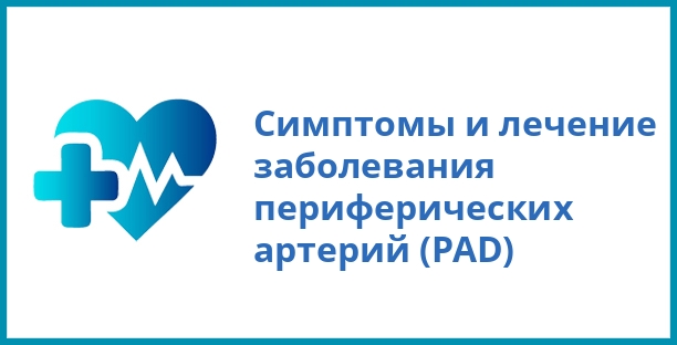 Симптомы и лечение заболевания периферических артерий (PAD)