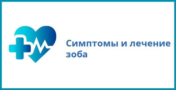 Симптомы и лечение зоба