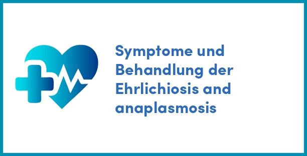 Symptome und Behandlung der Ehrlichiosis and anaplasmosis