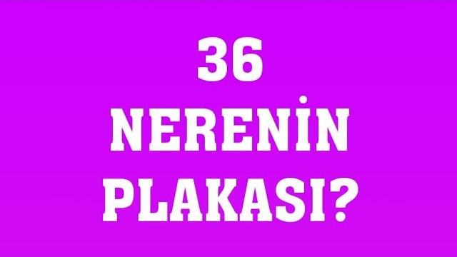 36 Plaka Nerenin Plakasıdır?