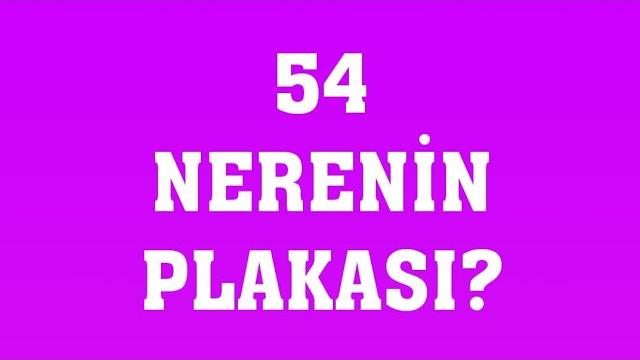 54 Plaka Nerenin Plakasıdır?