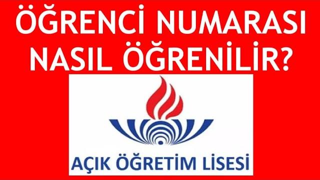 Açık Lise Öğrenci Numarası Nasıl Öğrenilir?