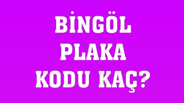 Bingöl'ün Plakası Kaç?