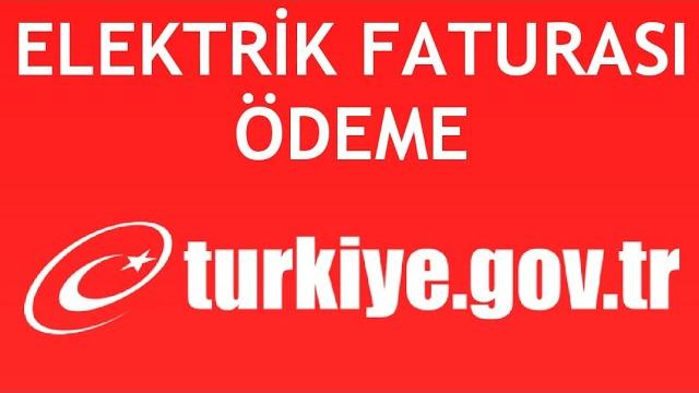 E-Devlet Elektrik Faturası Ödeme Nasıl Yapılır?
