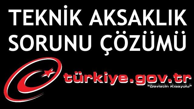 E-Devlet Teknik Aksaklık Sorunu Çözümü