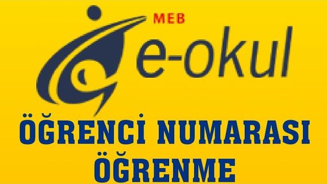 E-Okul Öğrenci Numarası Öğrenme