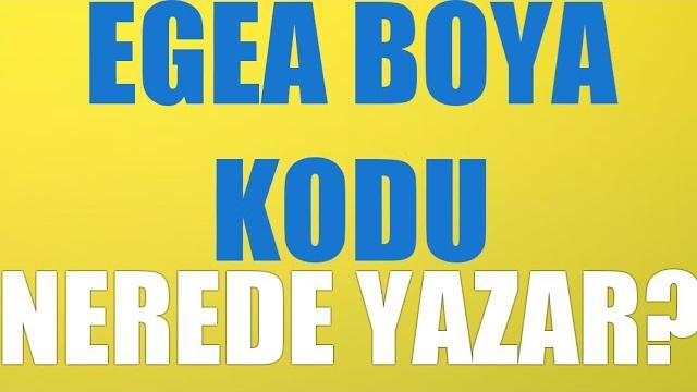 Egea Boya Kodu Nerede Yazar?