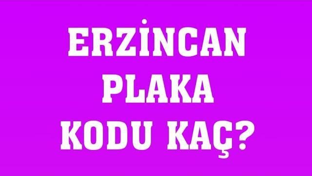 Erzincan'ın Plakası Kaç?