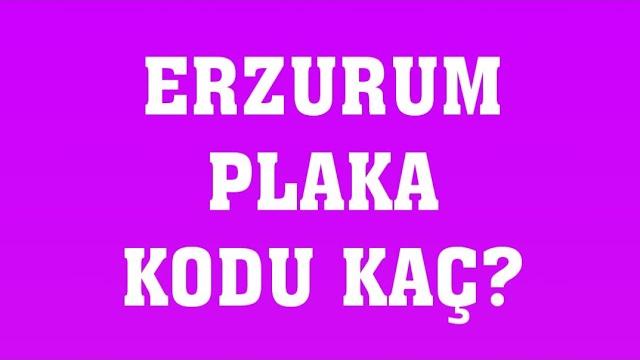 Erzurum'un Plakası Kaç?