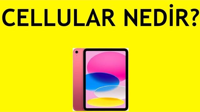 İpad Cellular Nedir? Gerekli Mi?
