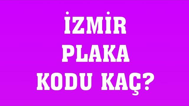 İzmir'in Plakası Kaç?