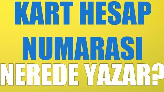 Kart Hesap Numarası Nerede Yazar?