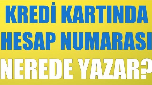 Kredi Kartında Hesap Numarası Nerede Yazar?