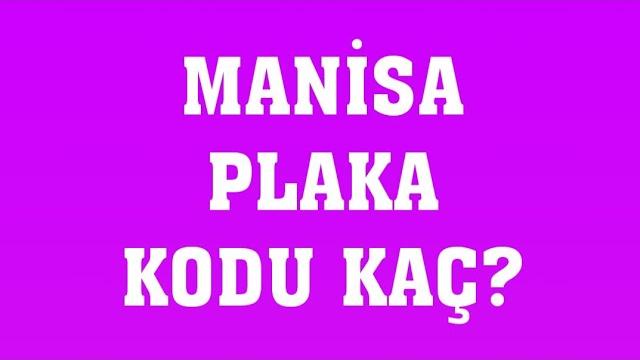 Manisa'nın Plakası Kaç?