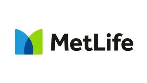 Metlife İletişim Bilgileri (Müşteri Hizmetleri Numarası)