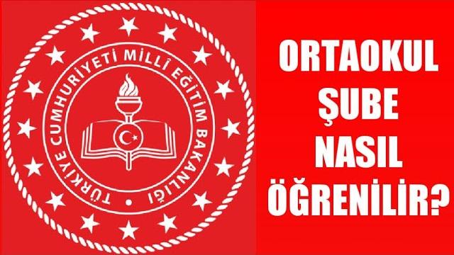 Ortaokul Şube Öğrenme / Sınıf Nasıl Öğrenilir?