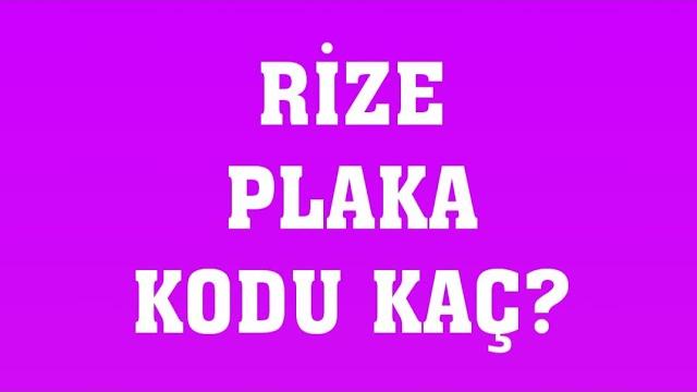 Rize'nin Plakası Kaç?
