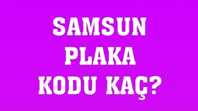 Samsun'un Plakası Kaç?