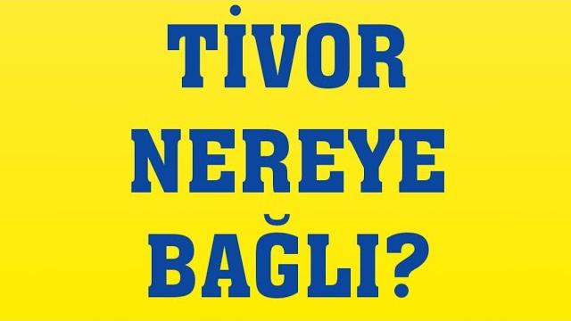 Tivor Nereye Bağlı?