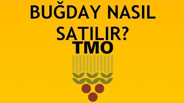 Tmo Buğday Nasıl Satılır? Buğday Satış Başvurusu Nasıl Yapılır?