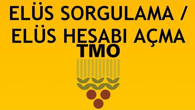Tmo Elüs Sorgulama / Elüs Hesabı Nasıl Açılır?