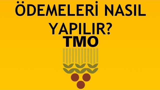 Tmo Ödemeleri Nasıl Yapılır?
