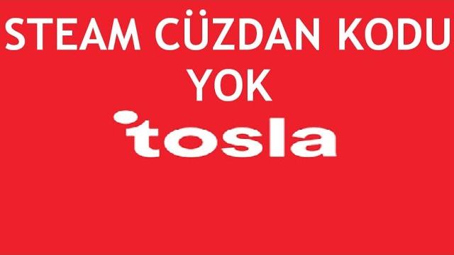Tosla Steam Cüzdan Kodu Yok Ne Yapmalıyım?