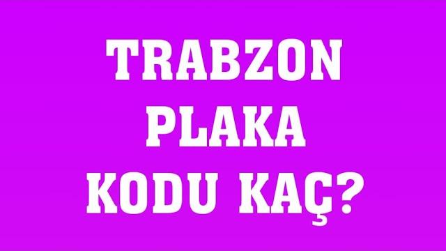 Trabzon'un Plakası Kaç?