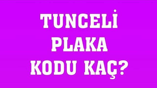 Tunceli'nin Plakası Kaç?