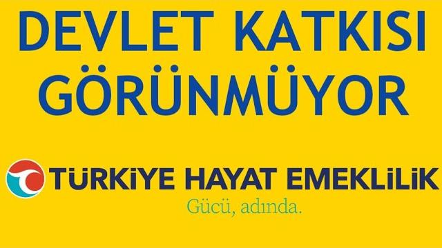 Türkiye Hayat Emeklilik Devlet Katkısı Görünmüyor