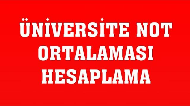 Üniversite Ortalama Hesaplama