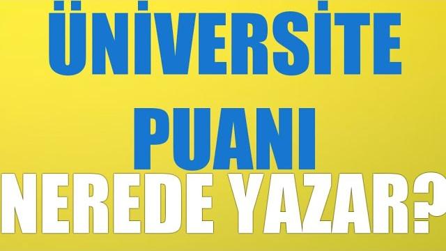 Üniversite Puanı Nerede Yazar?