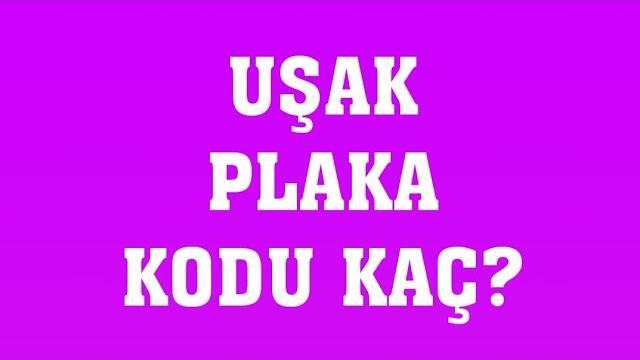 Uşak'ın Plakası Kaç?