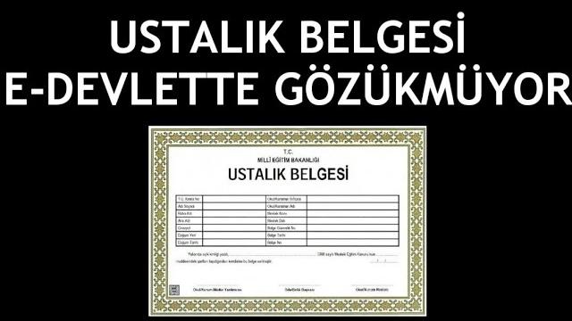 Ustalık Belgesi E-Devlette Gözükmüyor Ne Yapmalıyım?