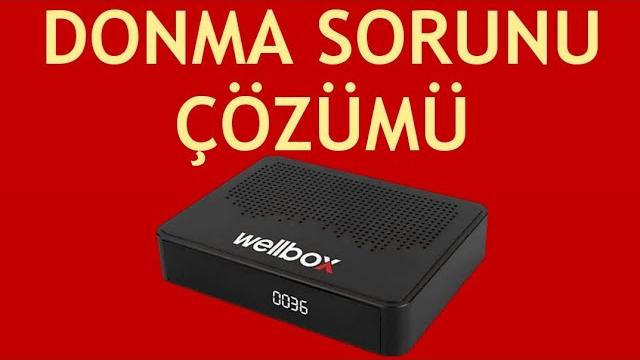 Wellbox Uydu Alıcısı Donma Sorunu Çözümü