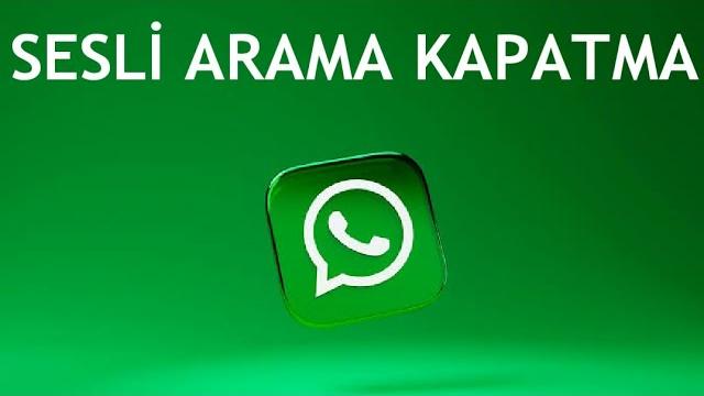 Whatsapp Sesli Arama Kapatma