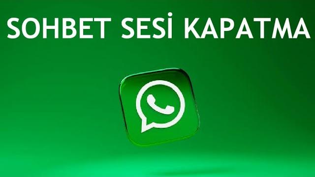 Whatsapp Sohbet Sesi Kapatma Nasıl Yapılır?