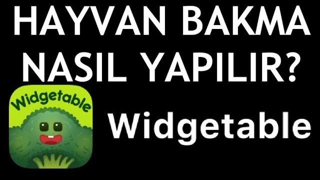 Widgetable Hayvan Bakma Nasıl Yapılır?