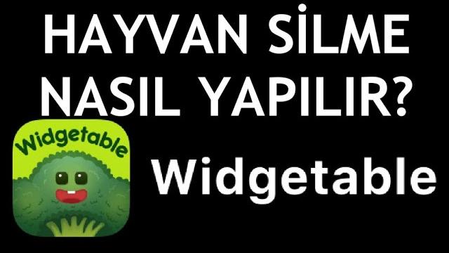 Widgetable Hayvan Silme Nasıl Yapılır?