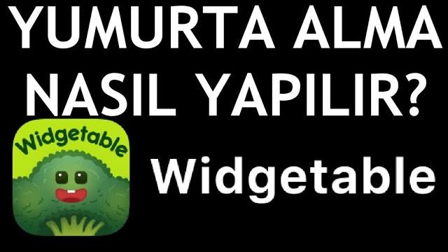 Widgetable Yumurta Alma Nasıl Yapılır?