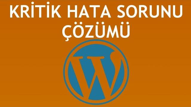 Wordpress Kritik Hata Sorunu Çözümü