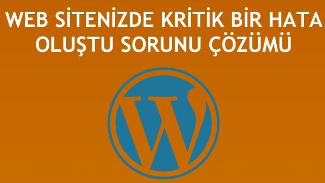 Wordpress Web Sitenizde Kritik Bir Hata Oluştu Sorunu Çözümü