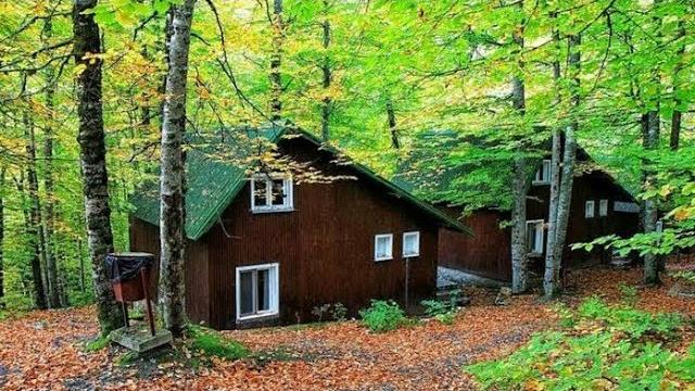 Yedigöller Otel Fiyatları | Yedigöller Otelleri