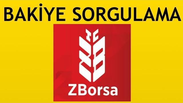 Zborsa Bakiye Sorgulama Nasıl Yapılır?